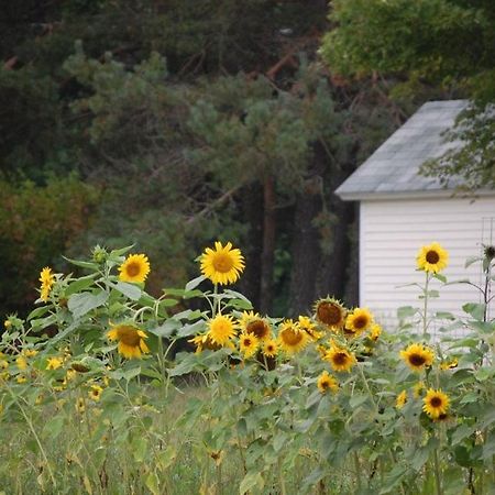 Clary Lake Bed And Breakfast Jefferson 外观 照片