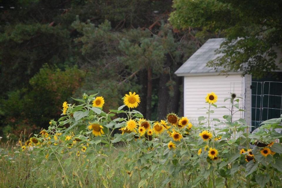 Clary Lake Bed And Breakfast Jefferson 外观 照片